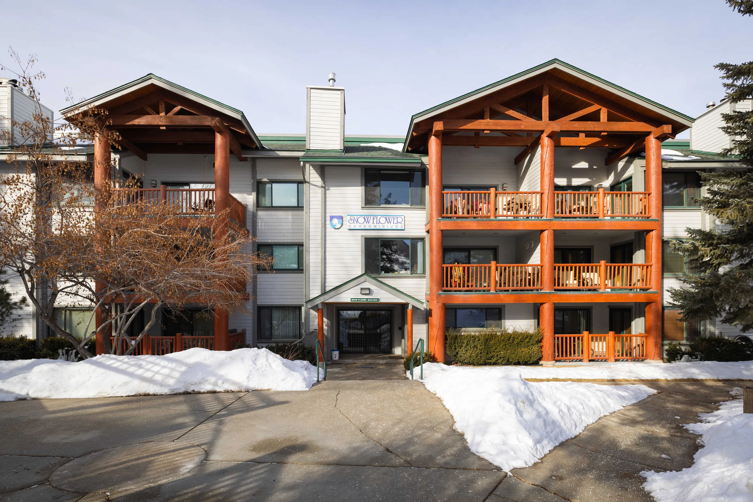 Wander Park City Alpine #50
