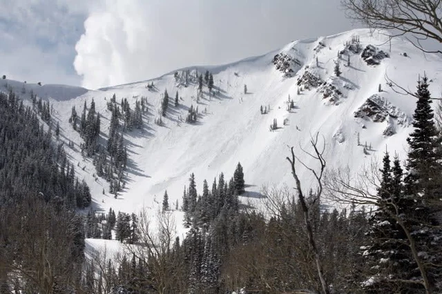 Wander Park City Alpine #40
