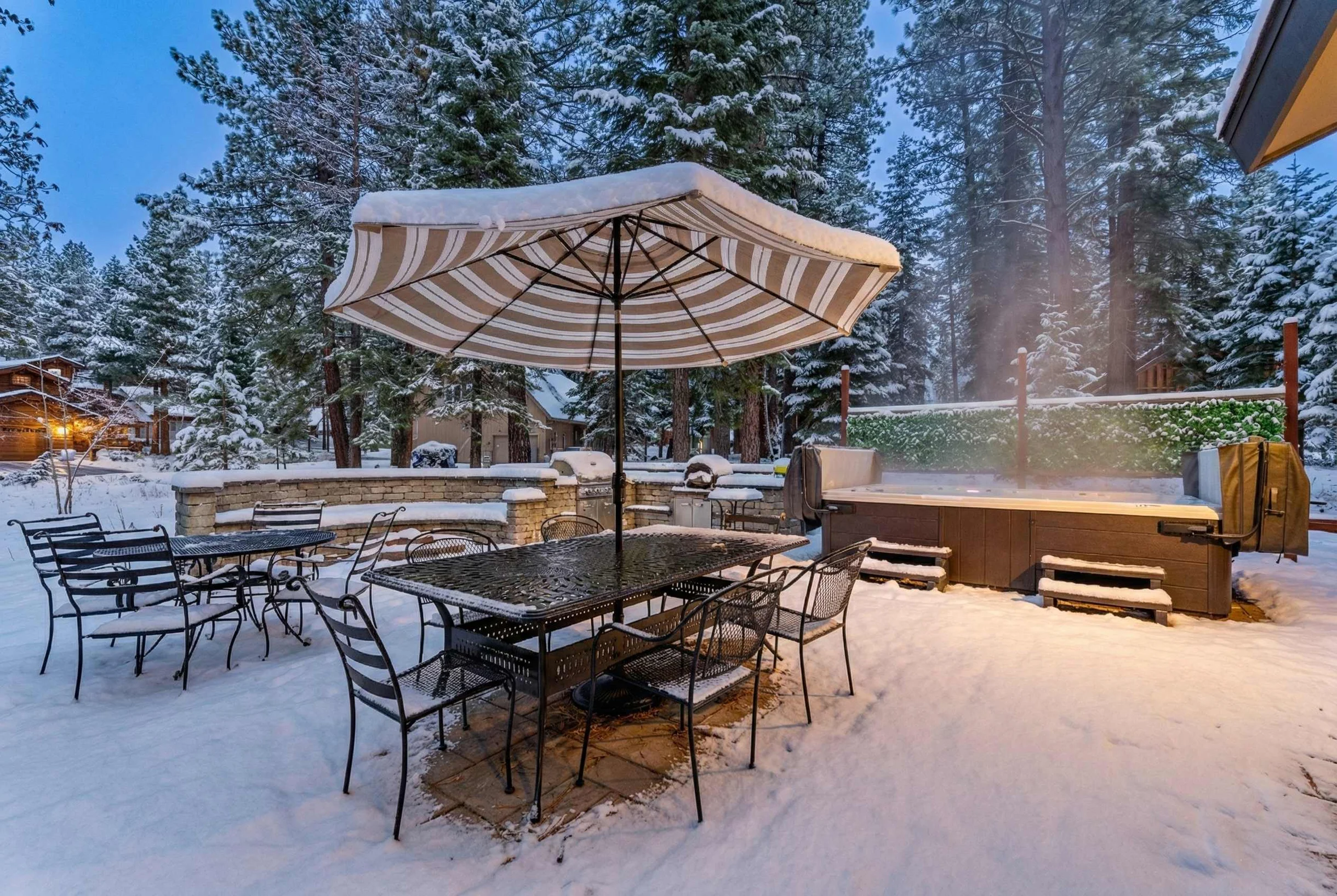 Wander Truckee Timberline #92