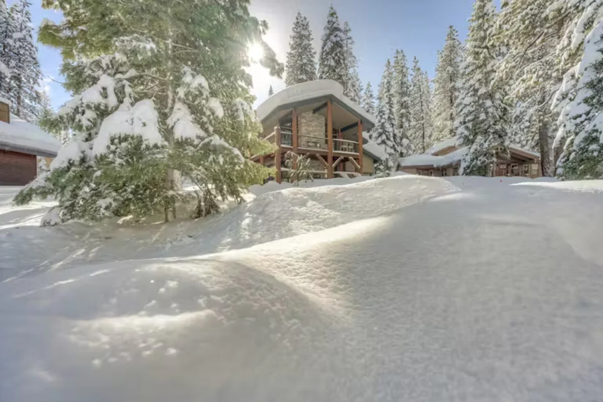 Wander Truckee Timberline #85