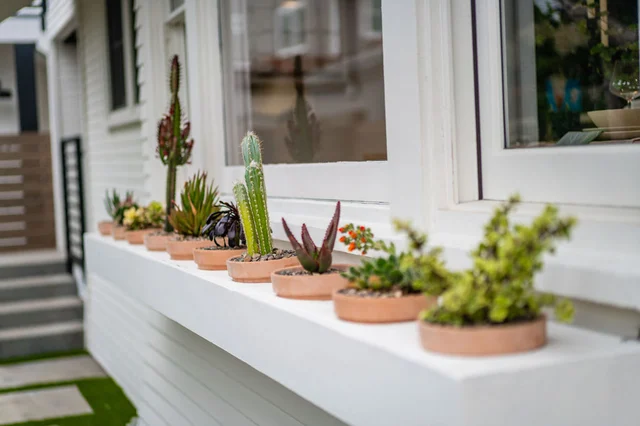 Wander San Diego Hillcrest #131