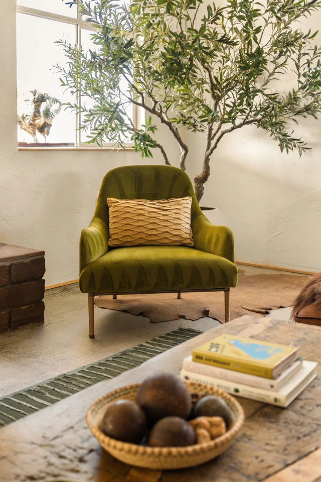 Wander High Desert Sol #169