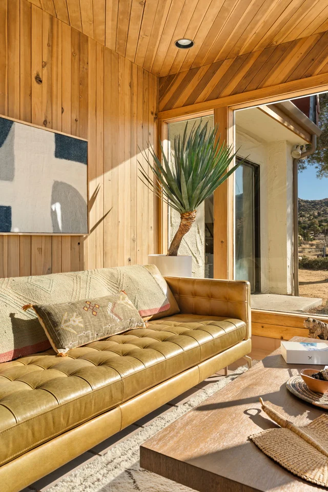 Wander High Desert Sol #168