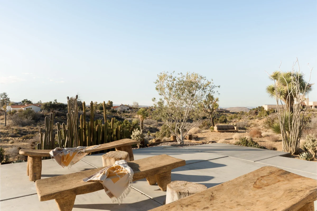 Wander High Desert Sol #180