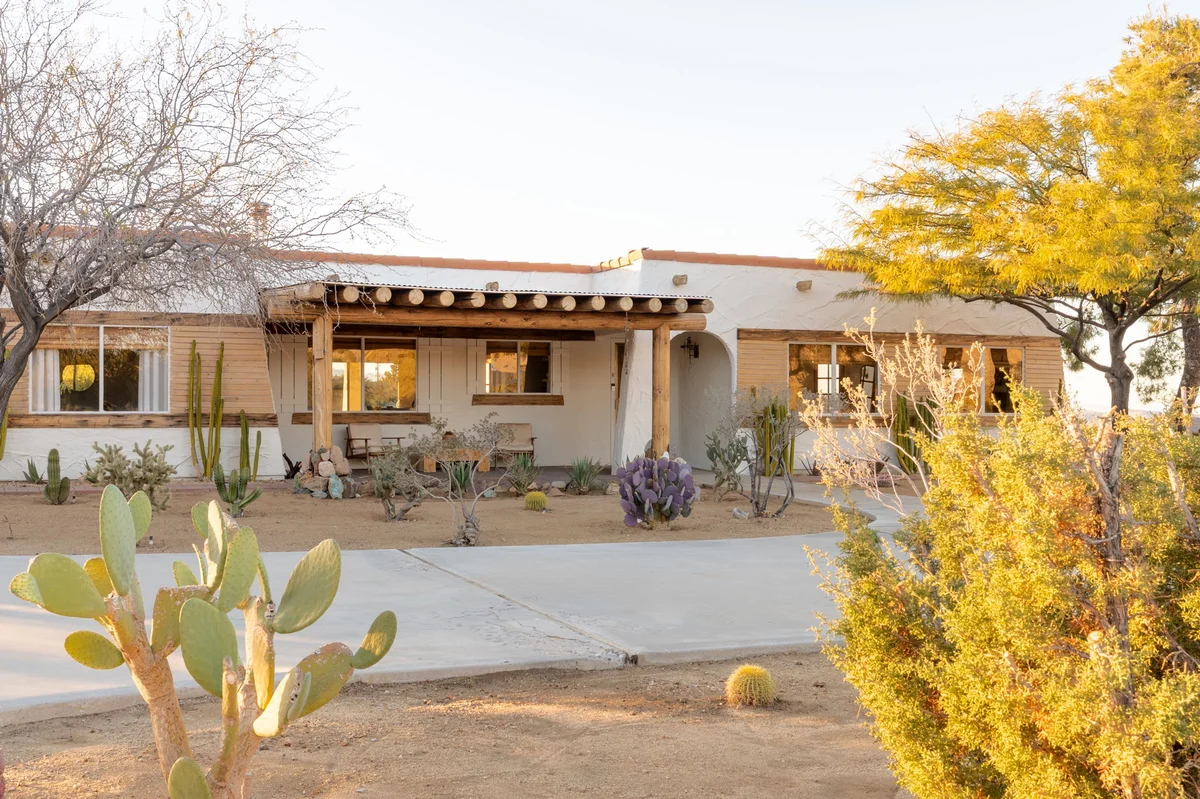 Wander High Desert Sol #206