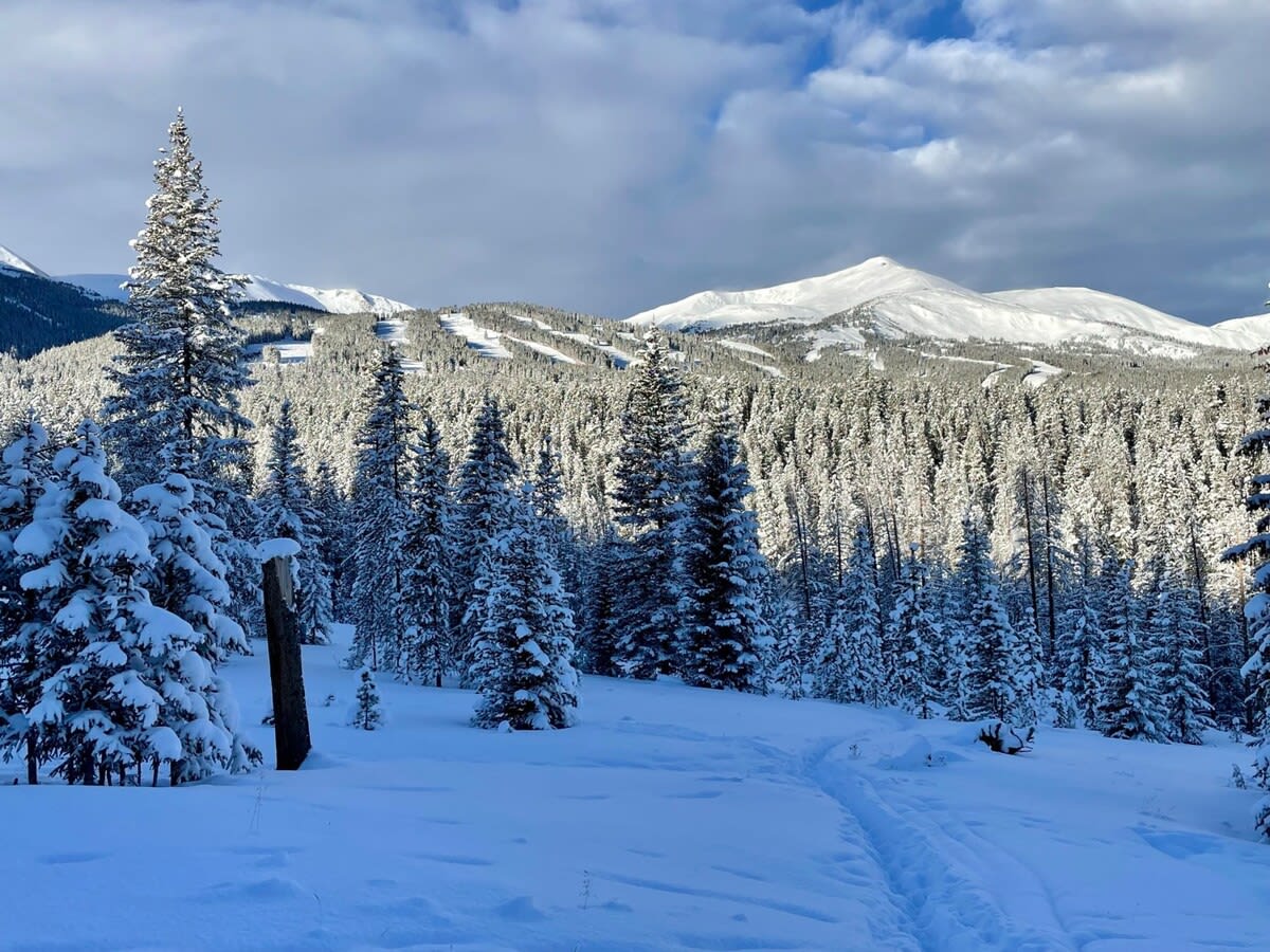 Wander Breckenridge Townhouse #60