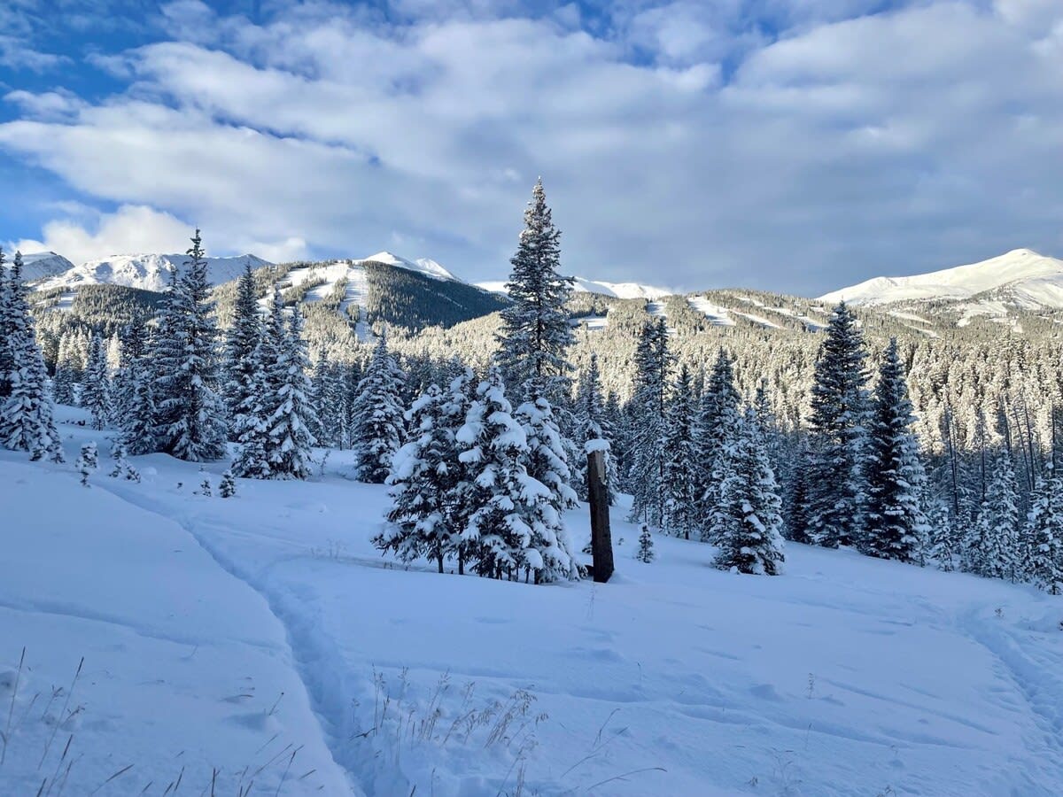 Wander Breckenridge Townhouse #66