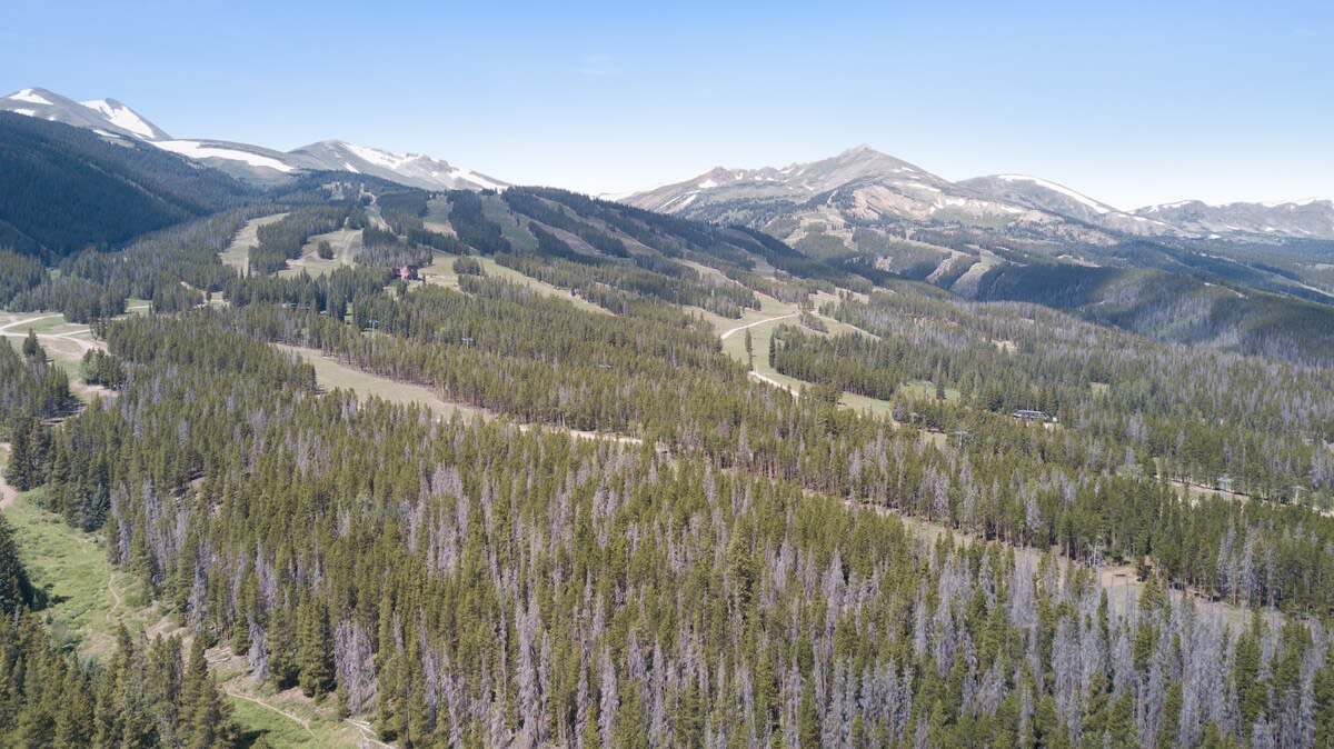 Wander Breckenridge Townhouse #63