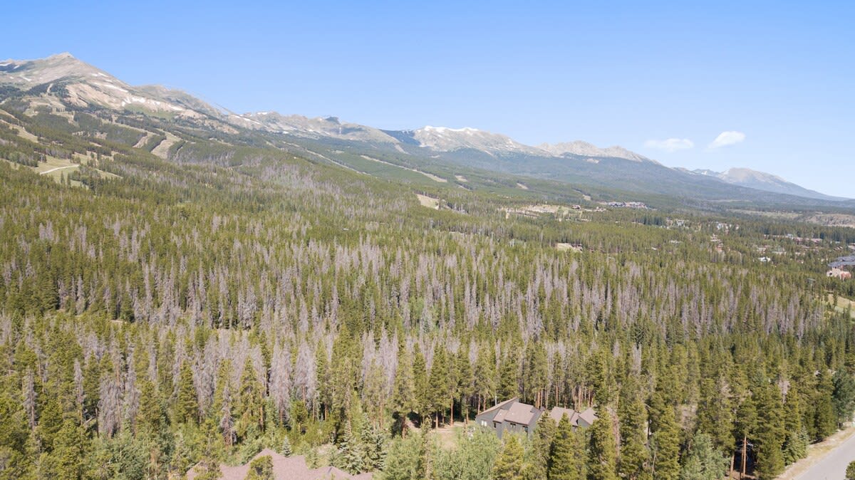 Wander Breckenridge Townhouse #61