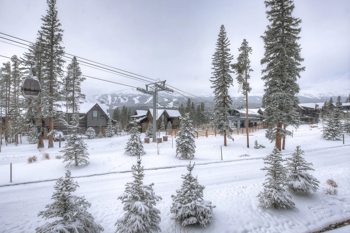 Wander Breckenridge Shock Hill #93