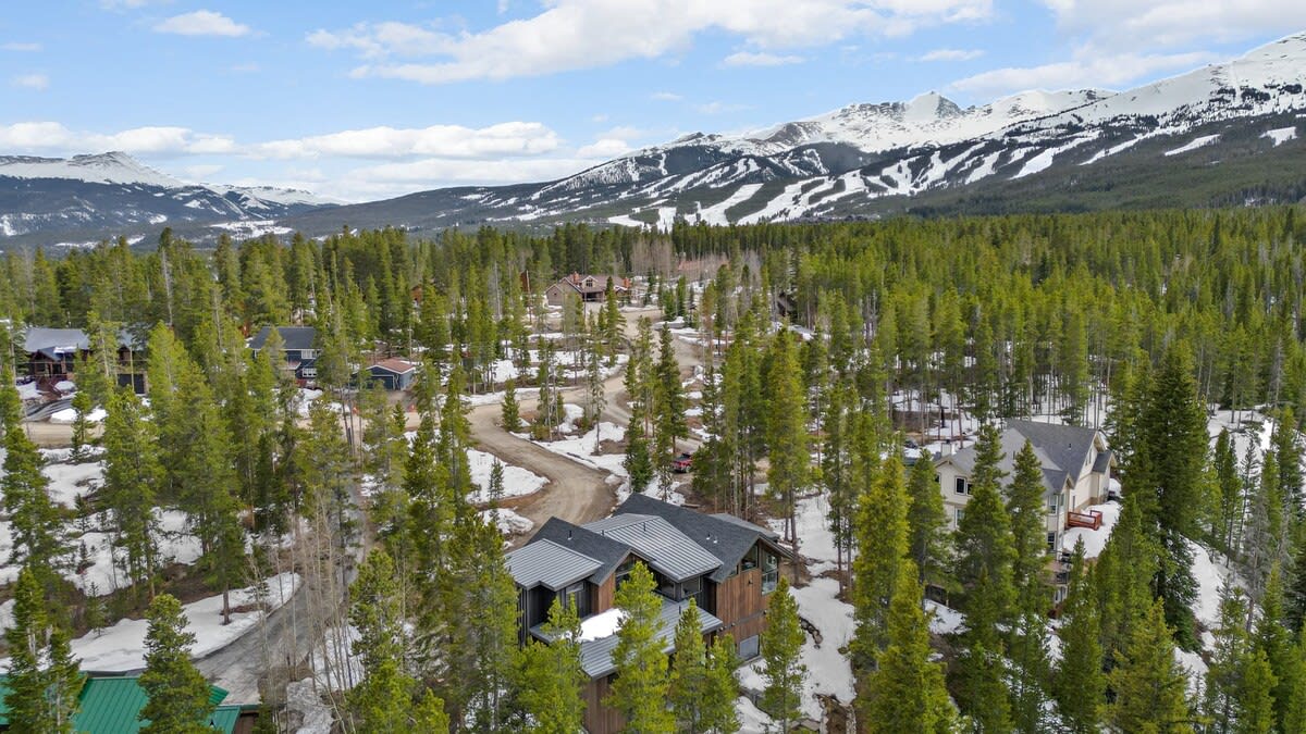 Wander Breckenridge Forest #169