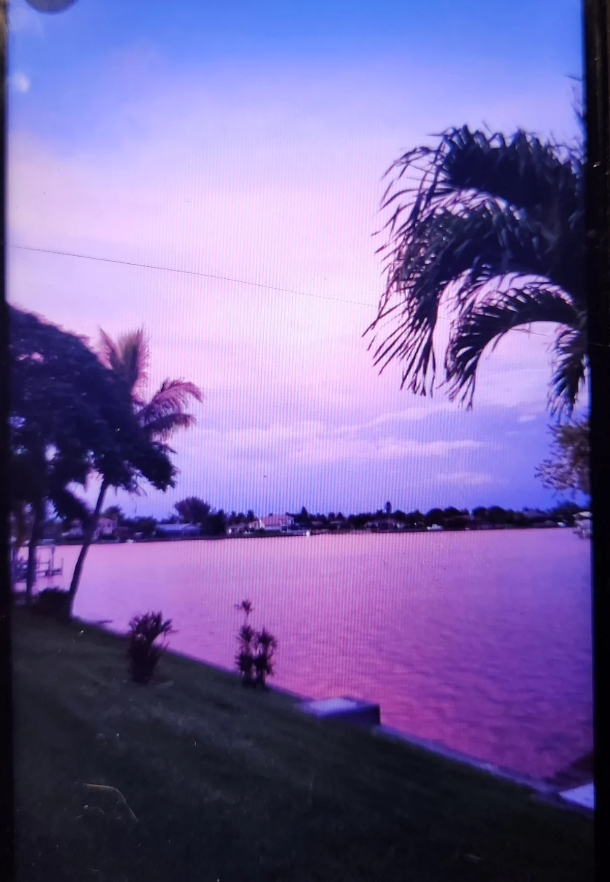 Home in Cape Coral property photo 2
