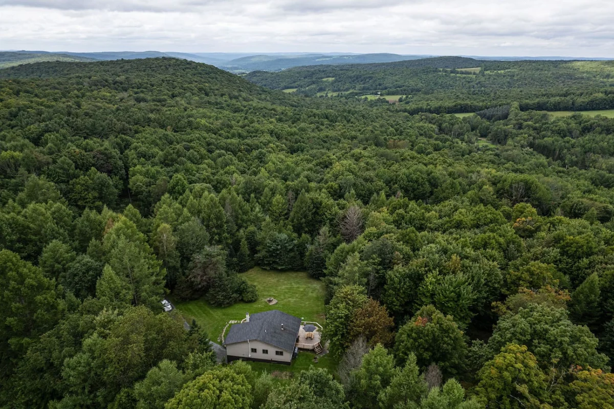 Cozy Year Round Getaway • Private Catskills Cabin #113