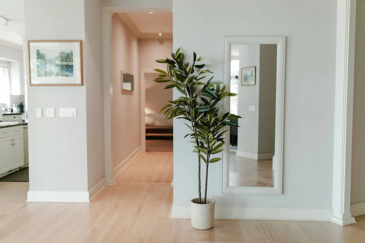 Dream Big in the Blue Ridge Mountains #117