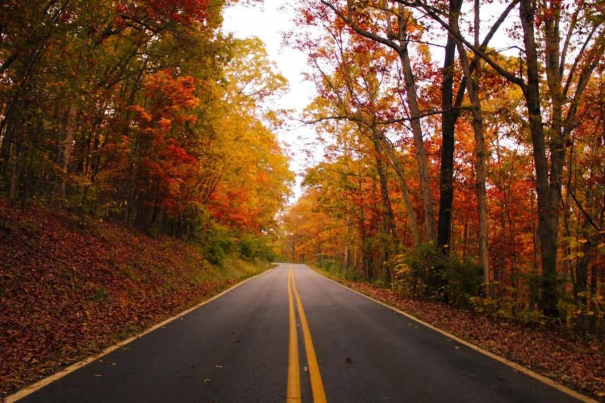 Dream Big in the Blue Ridge Mountains #111