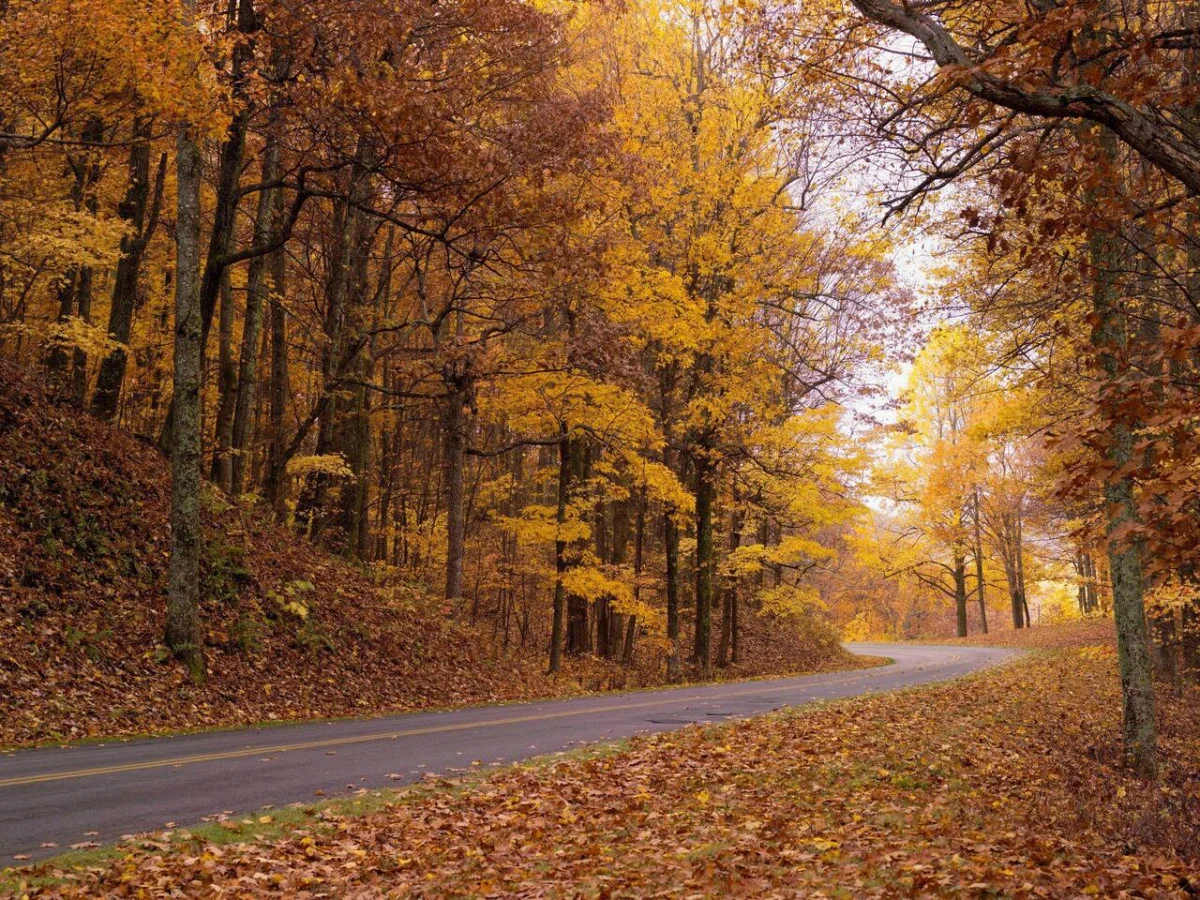 Dream Big in the Blue Ridge Mountains #155