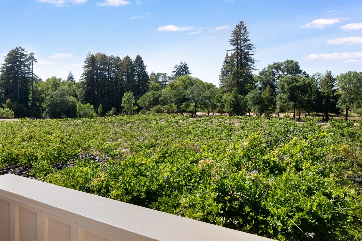 Wander Sonoma Sanctuary #84