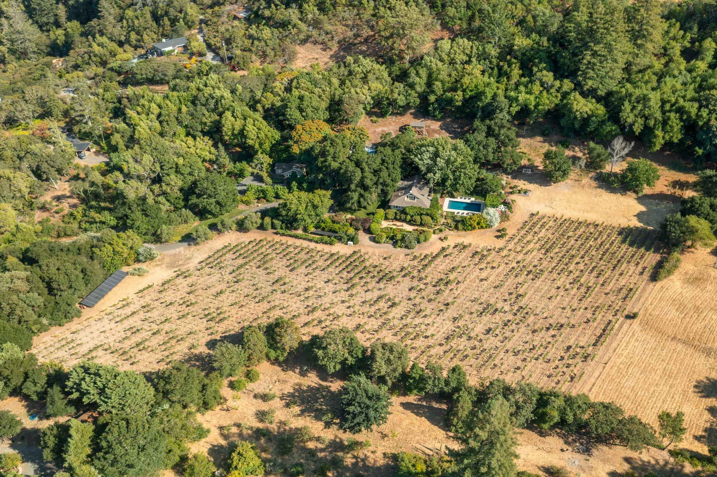 Wander Sonoma Sanctuary #126