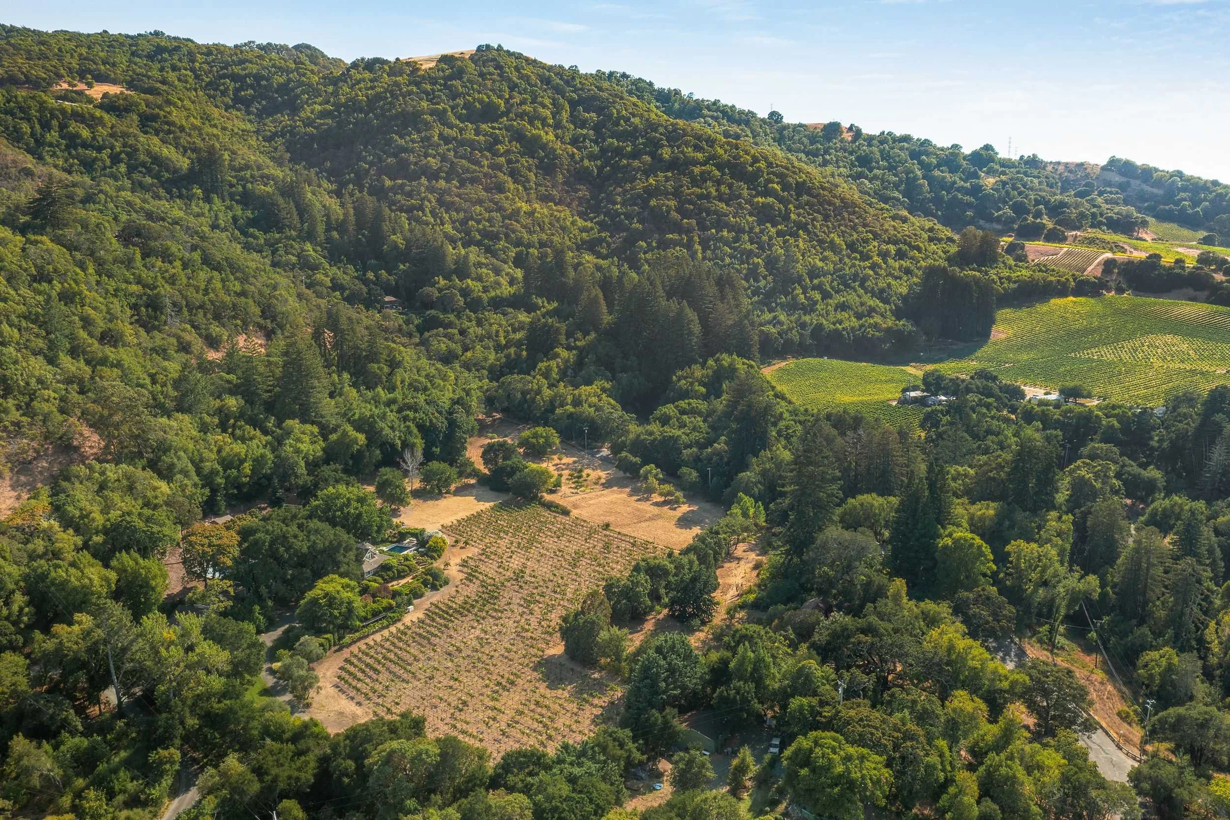 Wander Sonoma Sanctuary #155