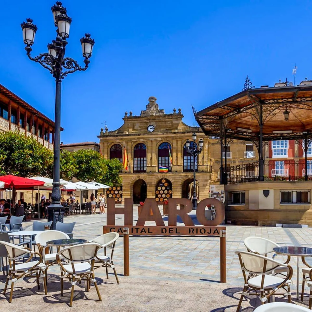 Palacio Manzanos Haro| Wellness & Wine |Gym |Sauna #77
