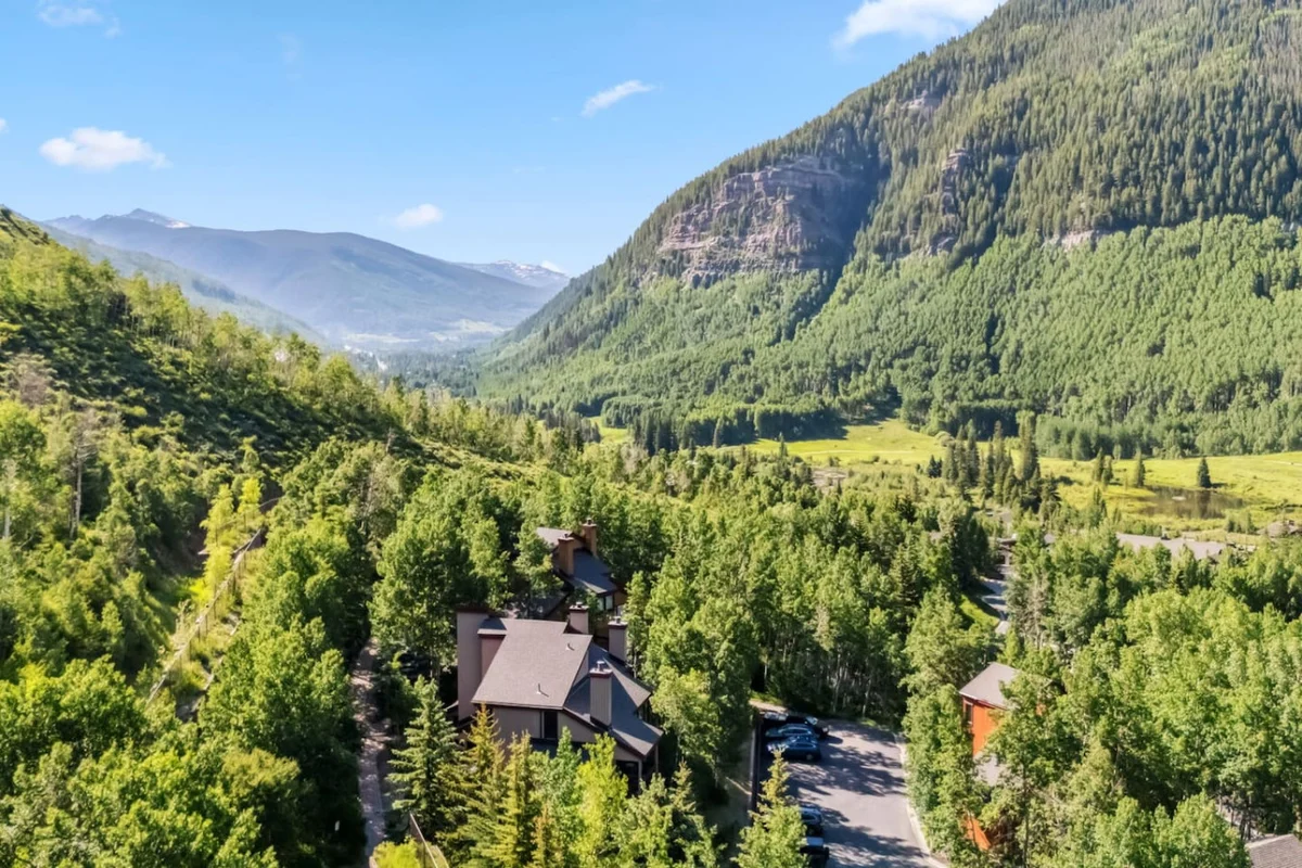 Alpine Overlook |  Scenic Views & Steps to Trails #55