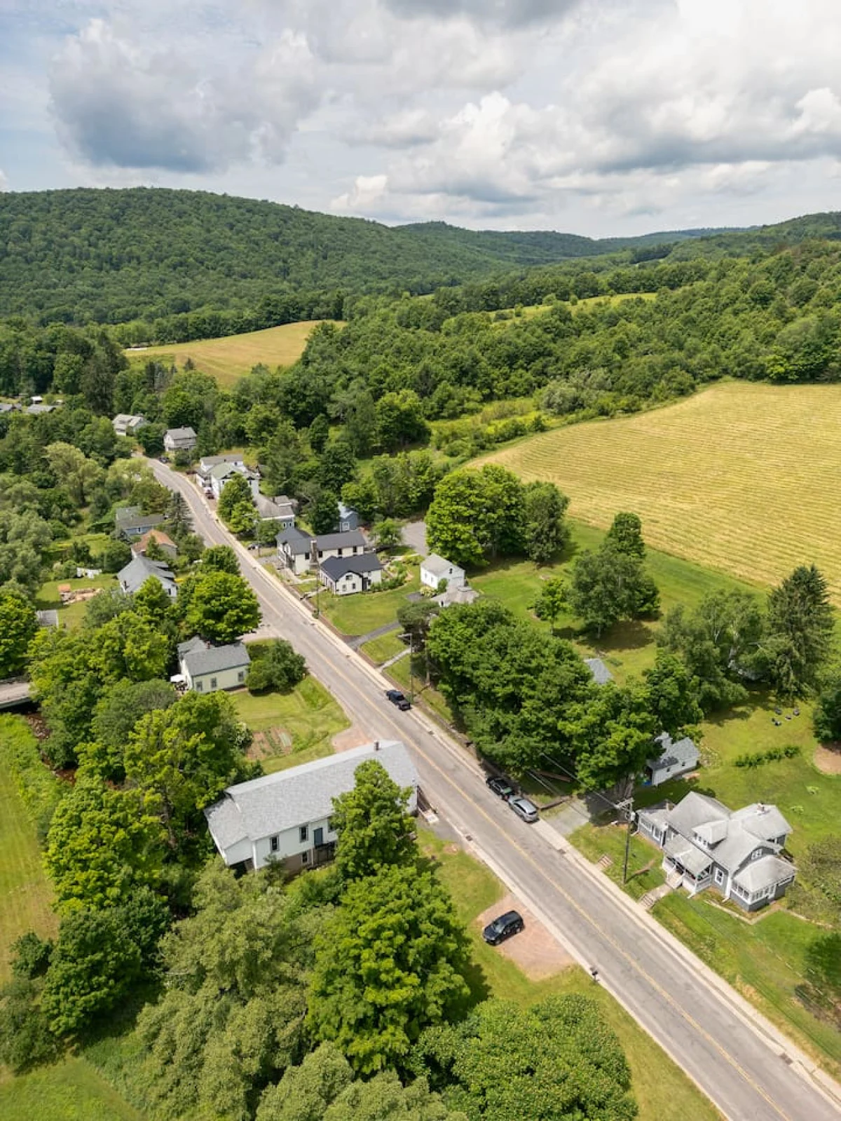 Vintage Catskills Home • Bucolic Views & Coziness #102
