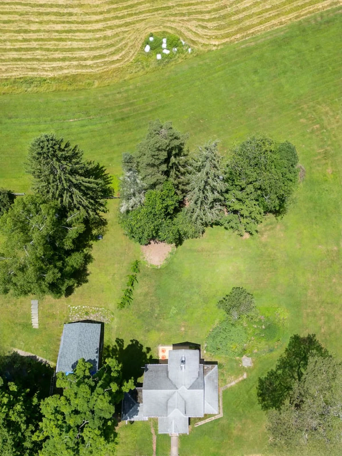Vintage Catskills Home • Bucolic Views & Coziness #82