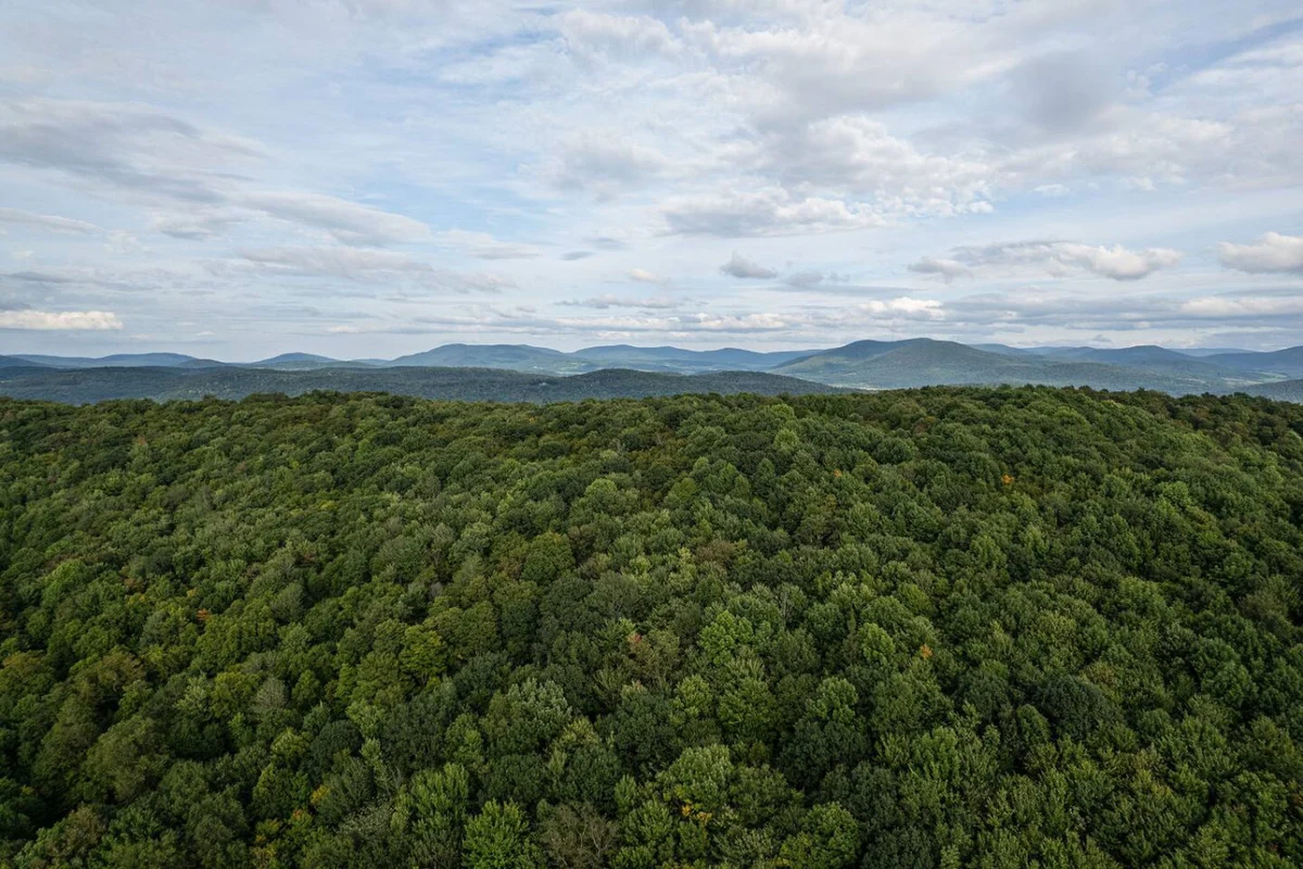 Upstate Getaway • Starry Skies and Nature #95