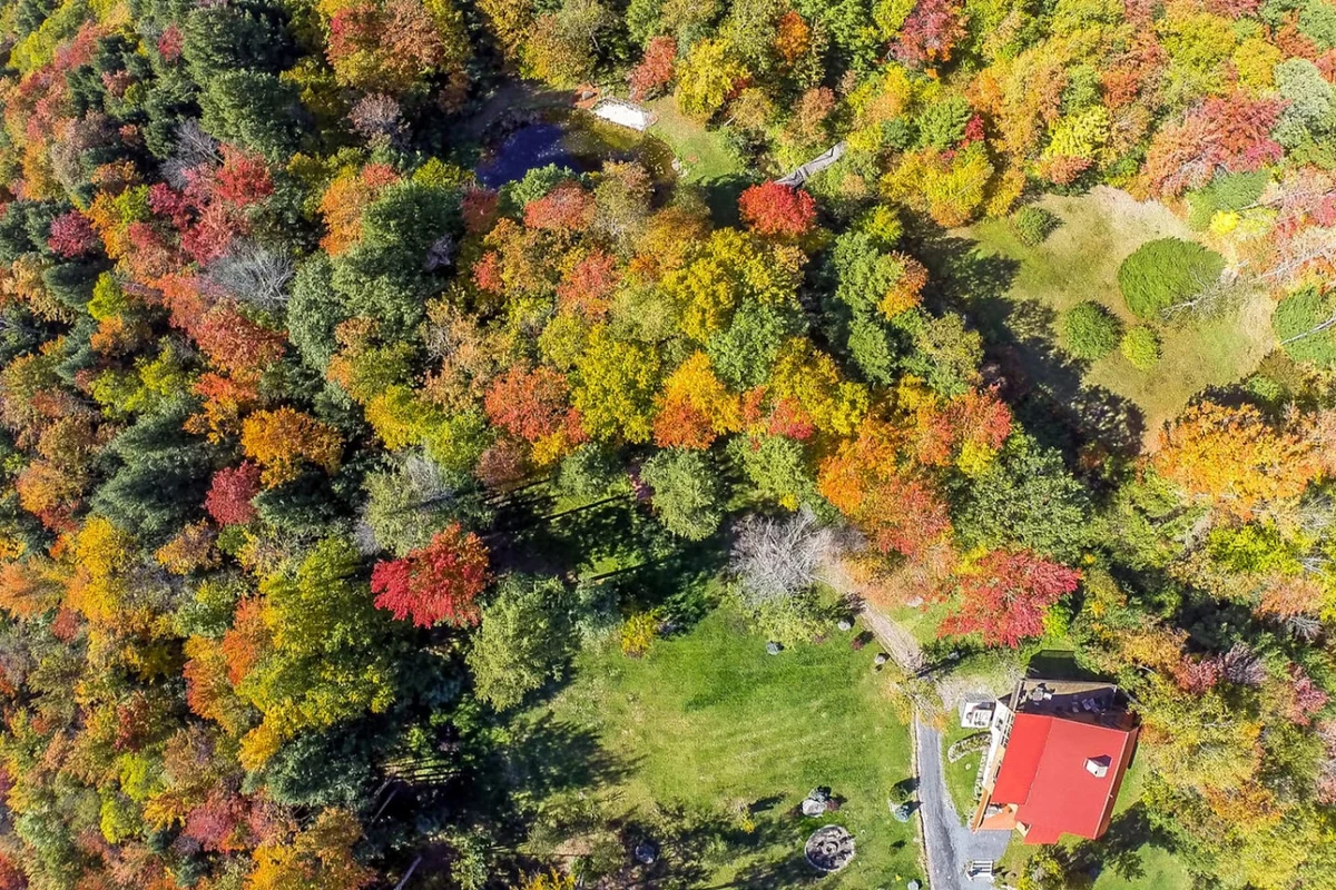 Cozy 6BR Catskills Getaway with Hot Tub #124