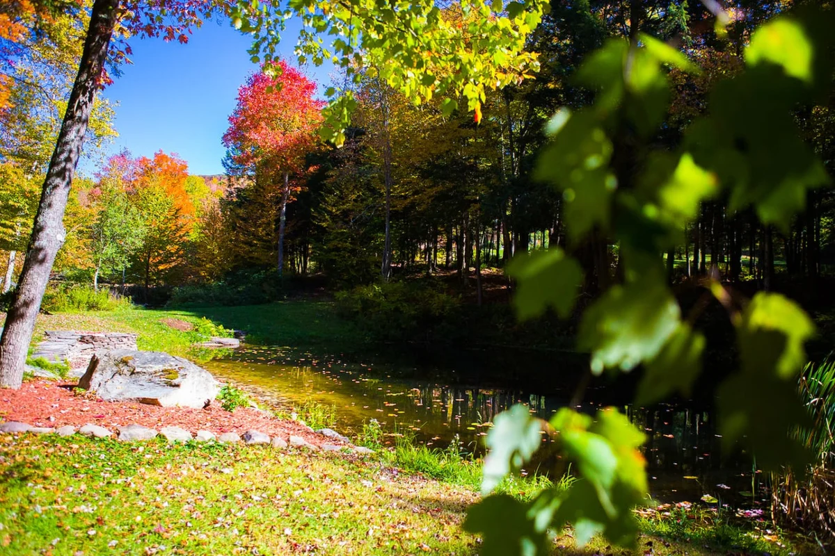 Cozy 6BR Catskills Getaway with Hot Tub #131