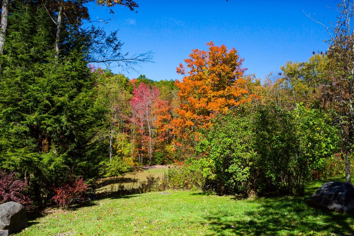 Cozy 6BR Catskills Getaway with Hot Tub #116