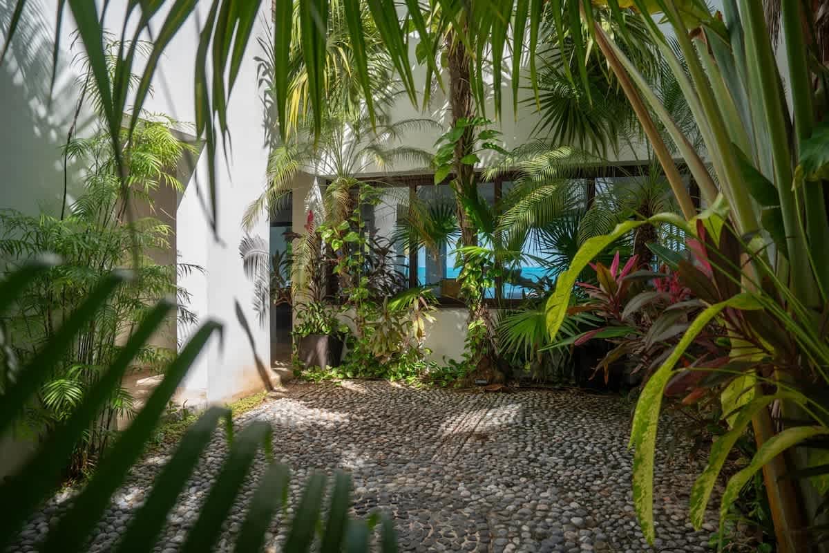 Wander Cancun Sol #56