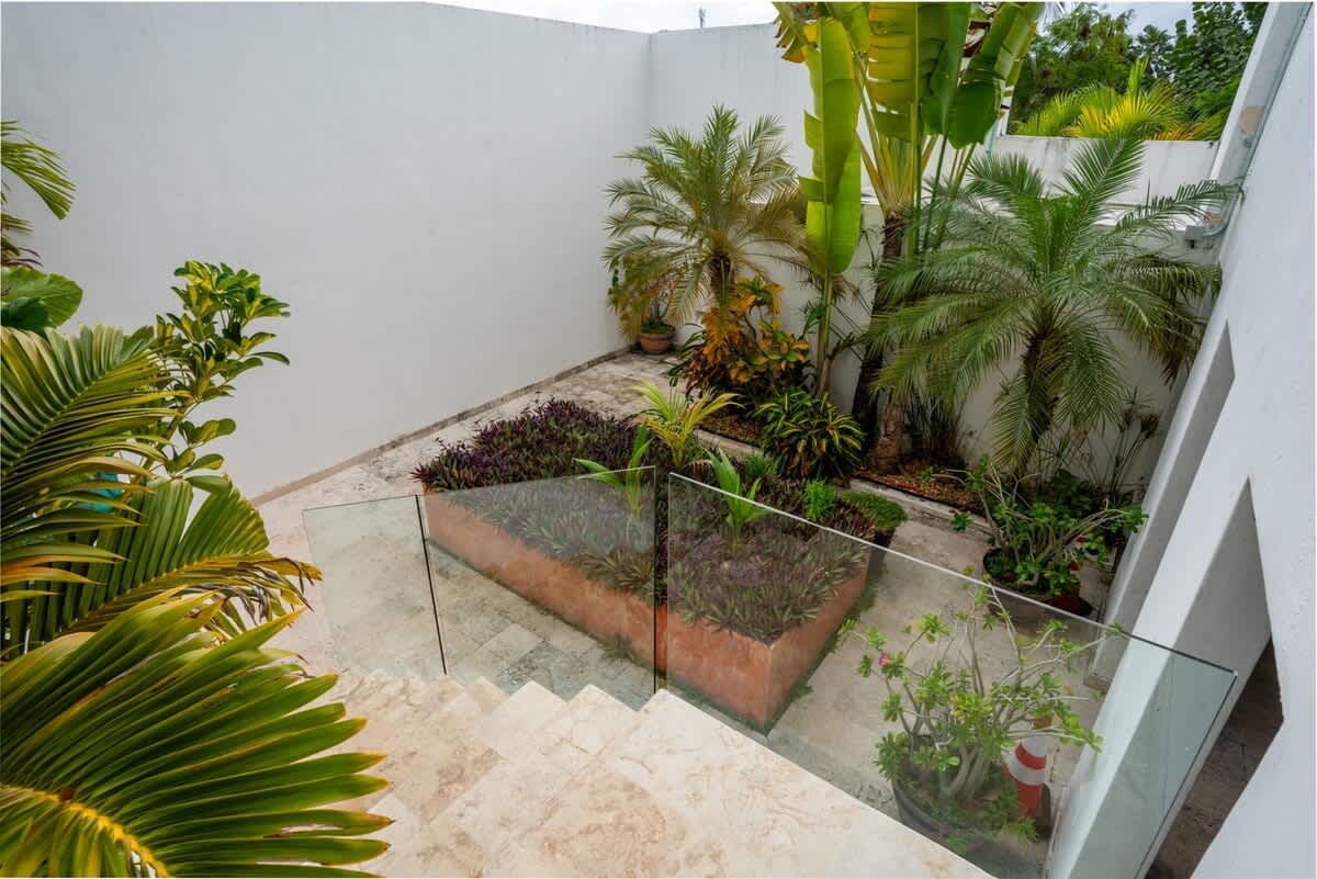 Wander Cancun Sol #63