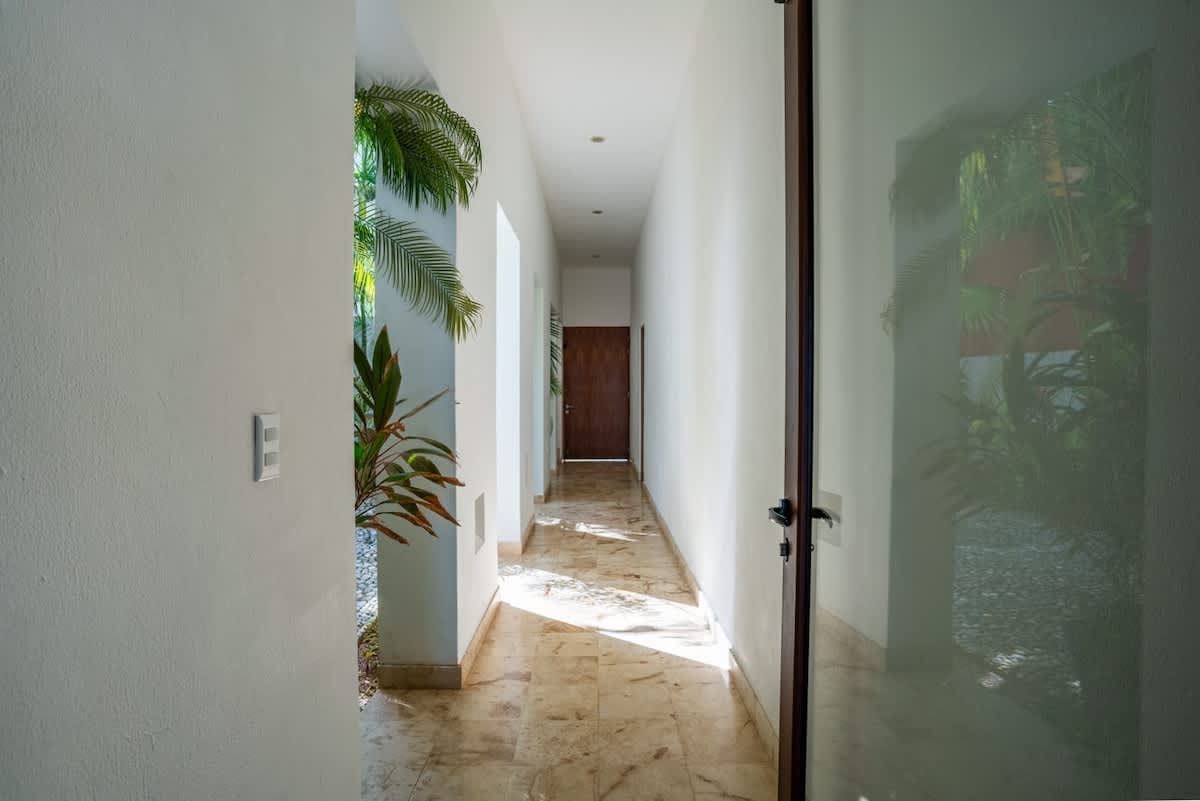 Wander Cancun Sol #81