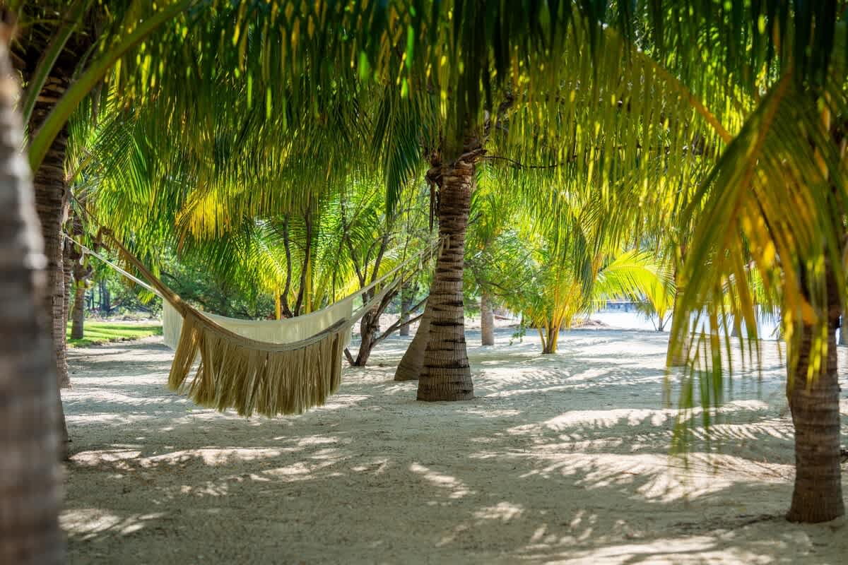 Wander Isla Mujeres Sands #107