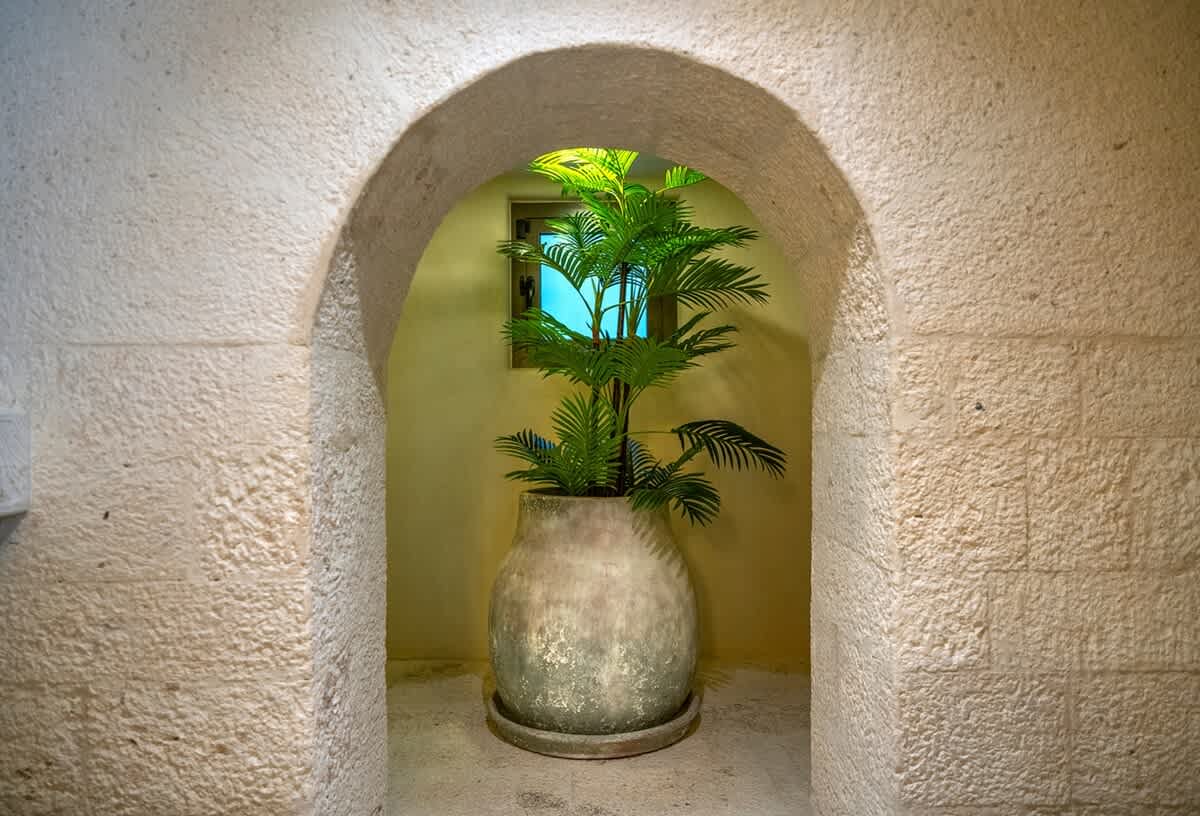 Wander Cancun Cove #113