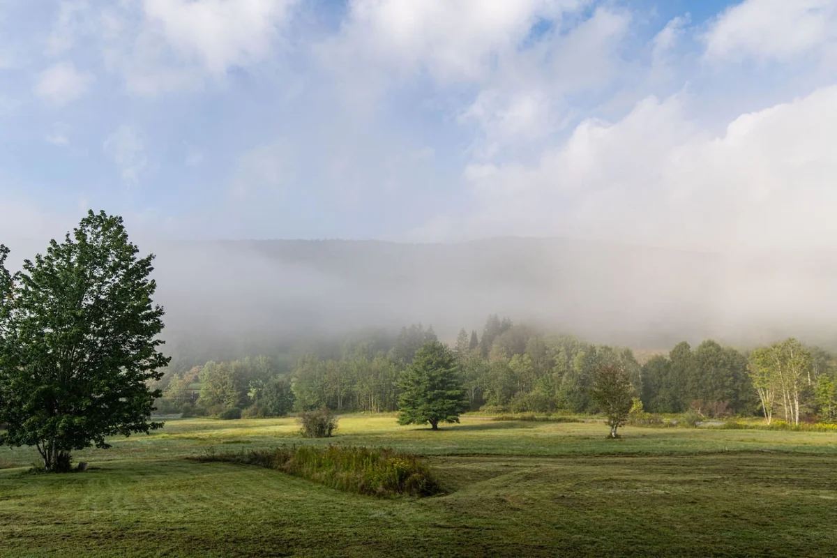 Secluded Catskills • 20 Acres, Views + Fire Pit #103