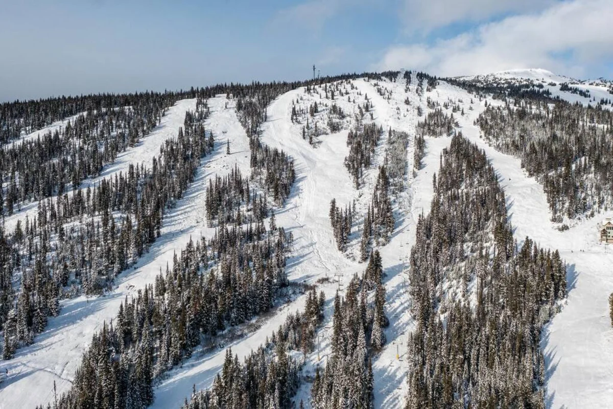 Chalet Monashee – Brand New High-End w/Amazing Views #121