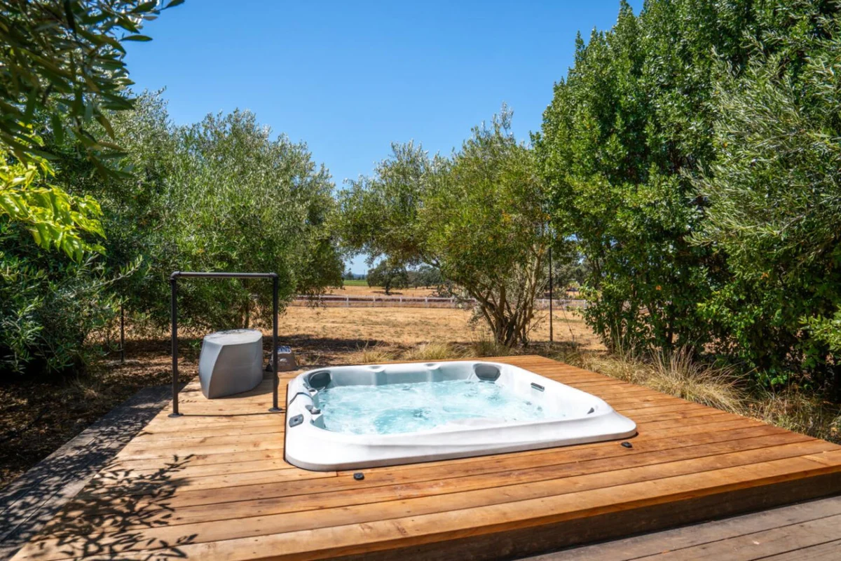 Spacious Santa Rosa Retreat - Outdoor Kitchen, Pool, Spa #85