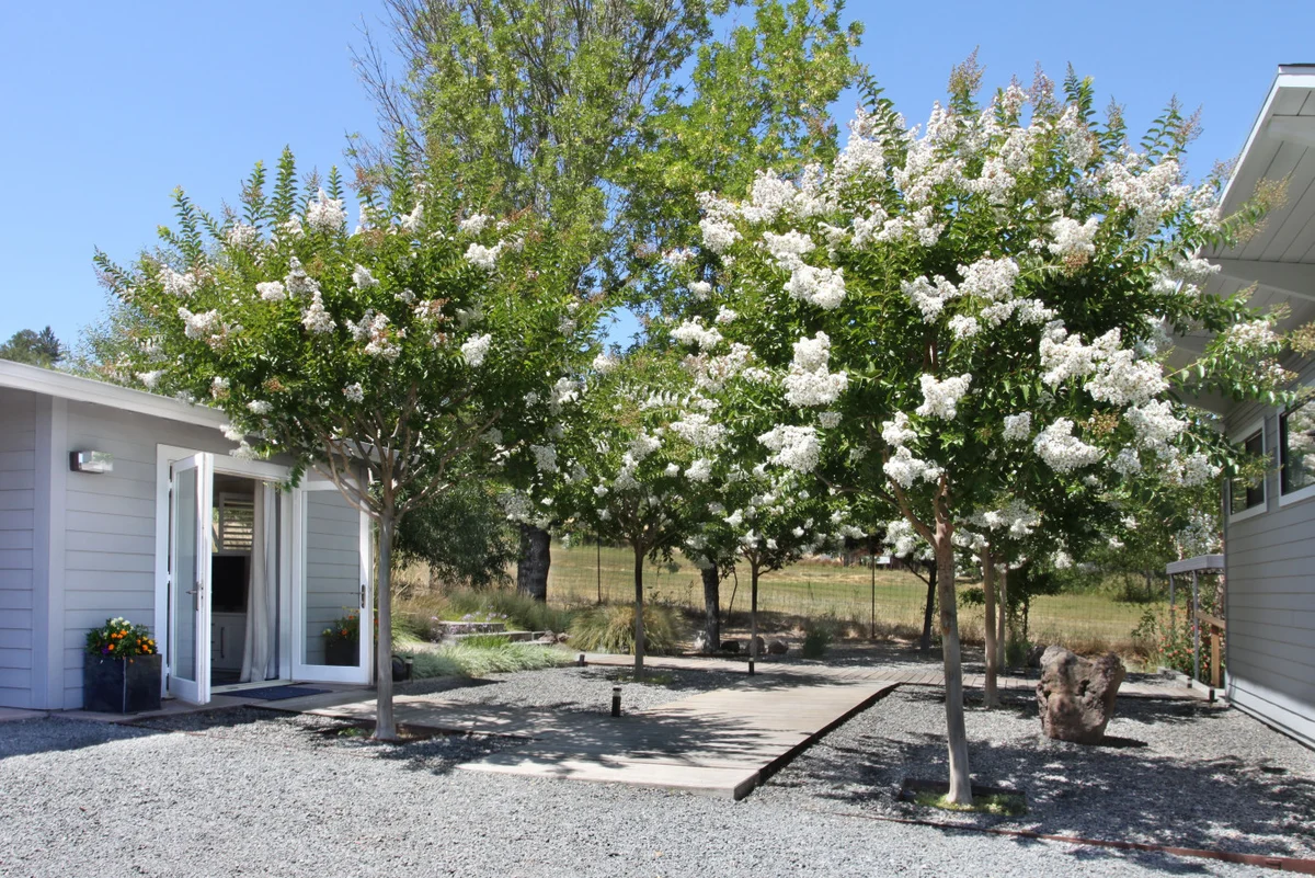 Idyllic + Contemporary Sonoma Valley Retreat #38