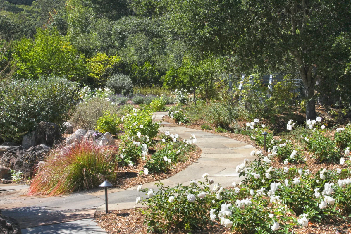 Idyllic + Contemporary Sonoma Valley Retreat #43