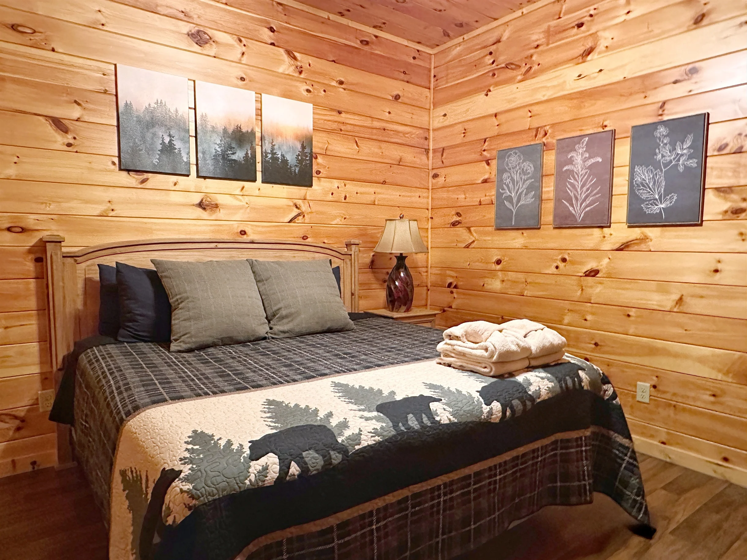 Sleeps 8, 5min to Dollywood 1 mi to PKWY King Bed Game Room/Hot Tub #27