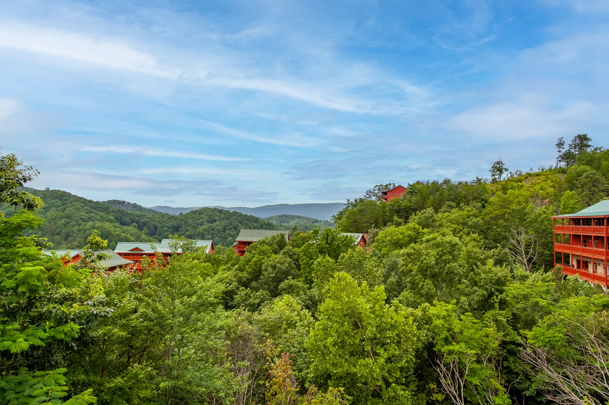 Bearly Haus | Modern Smoky Retreat | Indoor Pool | Hot Tub | Views | Sleeps 10 #47