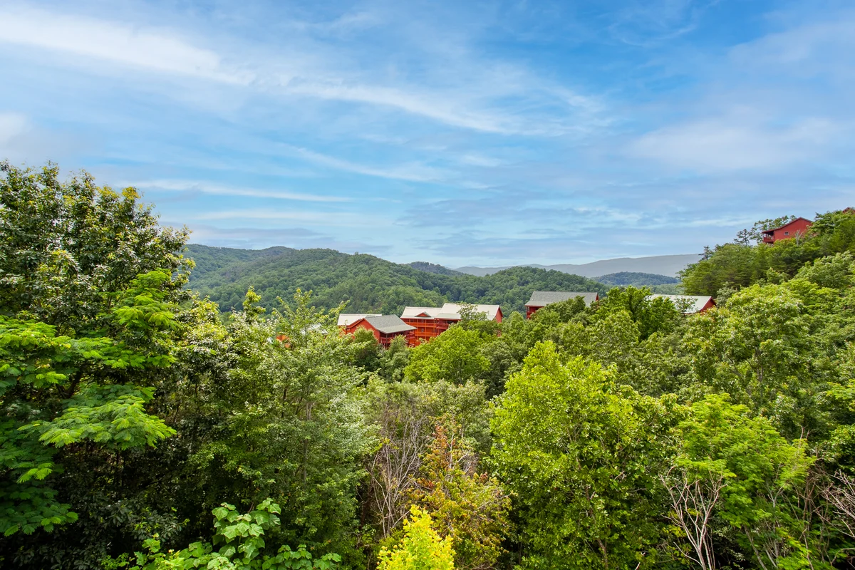 Bearly Haus | Modern Smoky Retreat | Indoor Pool | Hot Tub | Views | Sleeps 10 #21