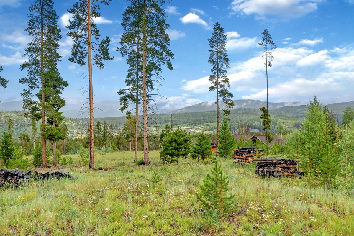 Leland Creek Mountain Home #12