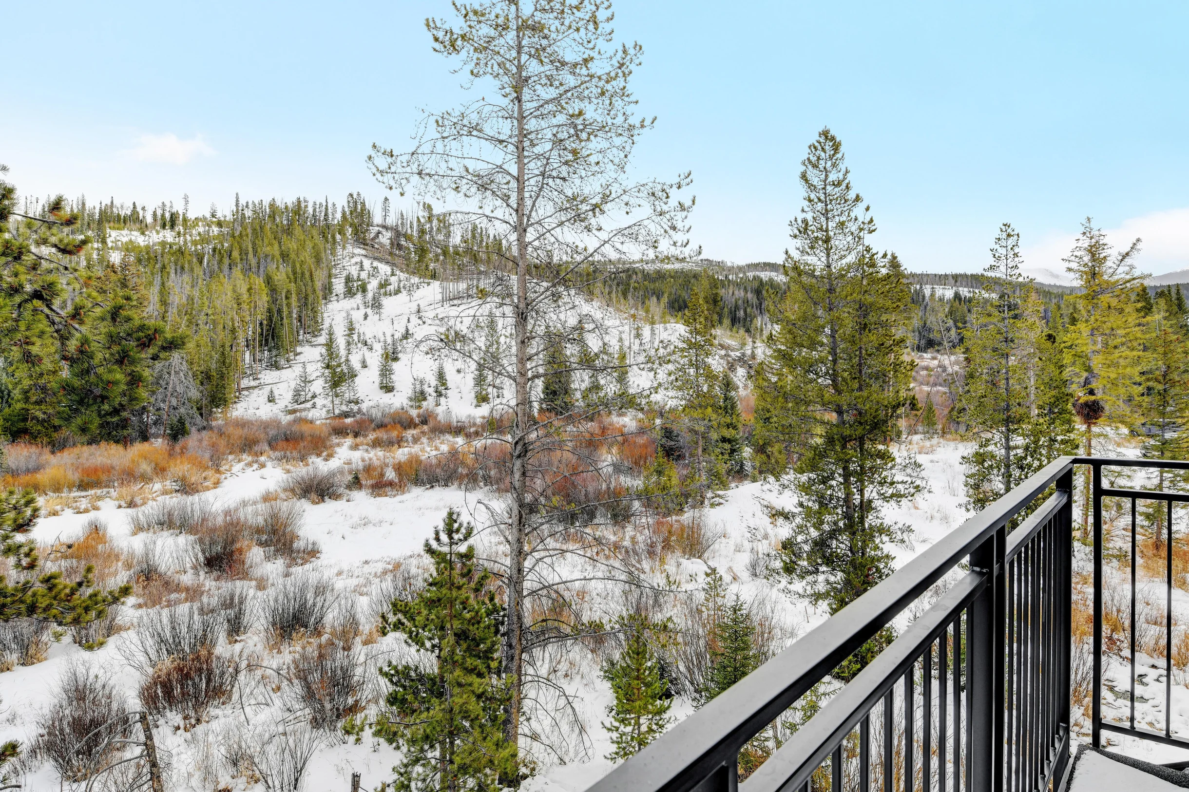 Timber Fox Condo 1304 #20