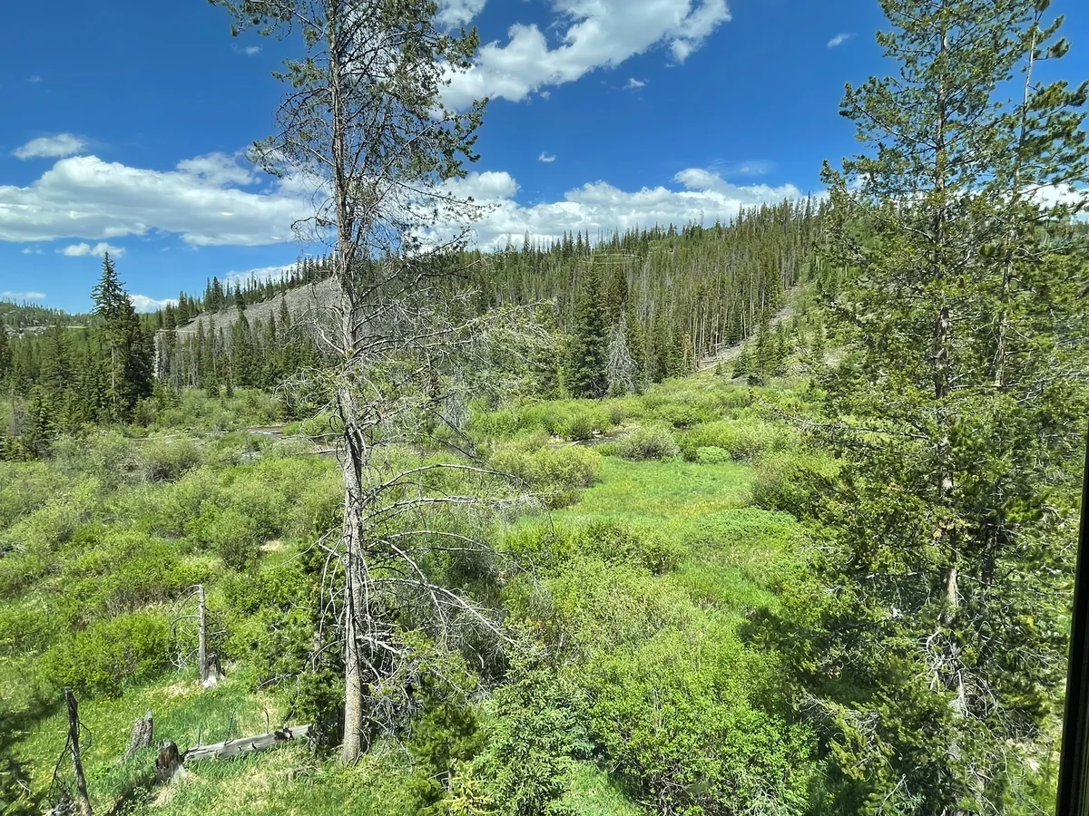 Timber Fox Condo 1305 #19