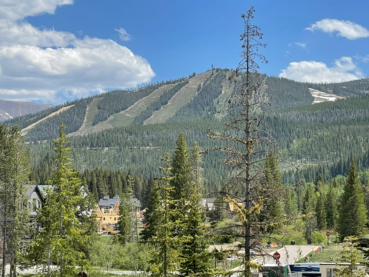 Timber Fox Condo 1305 #23