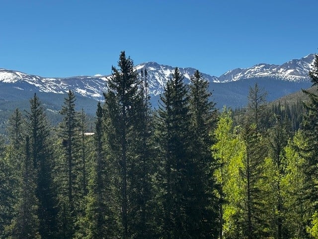 Bear Trail Chalet 411 #24