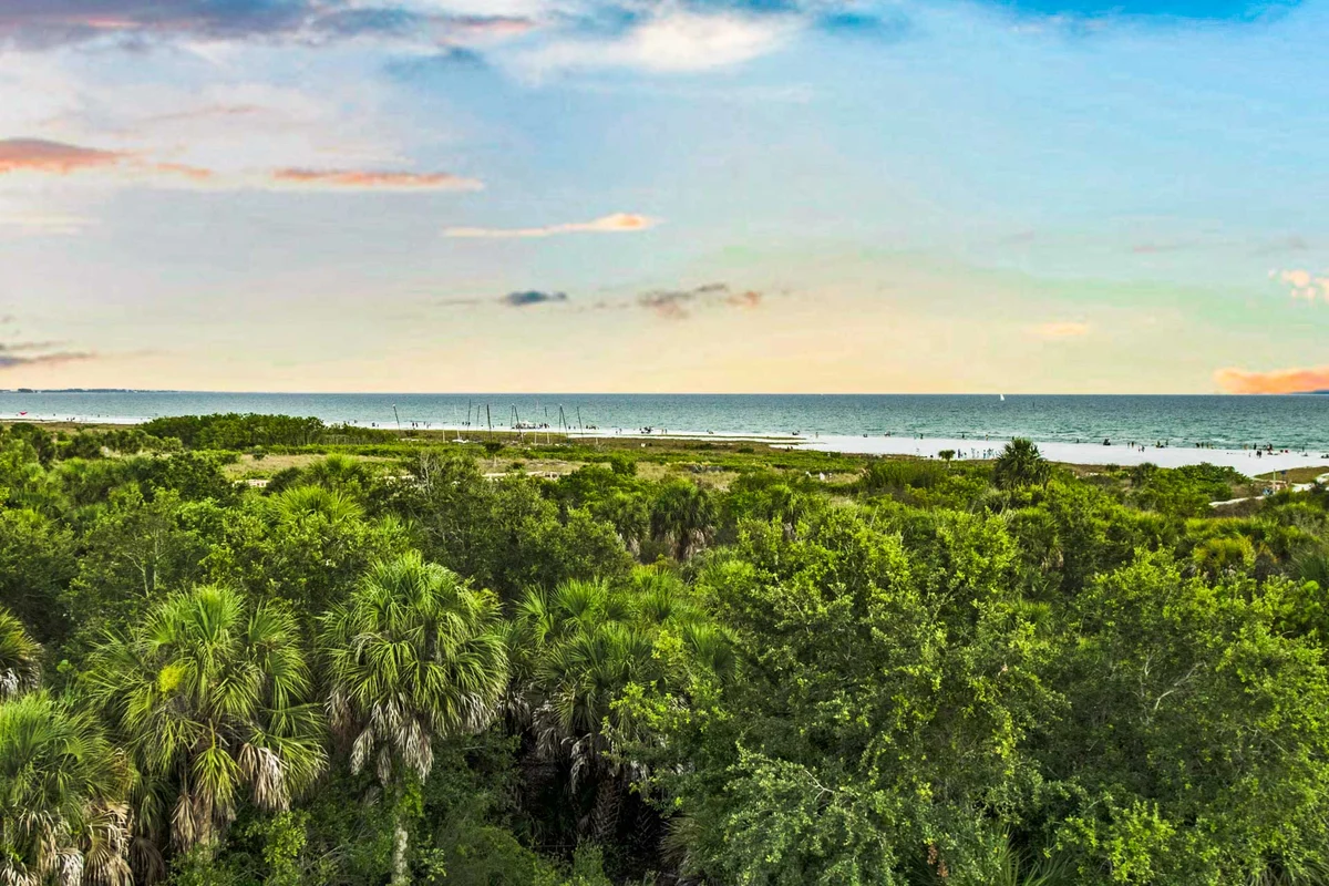 Ocean Overlook #116